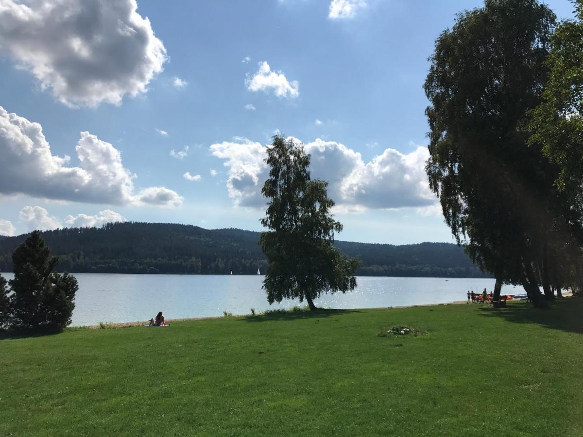 Luxury Apartman Lipno Lipno nad Vltavou Exteriér fotografie