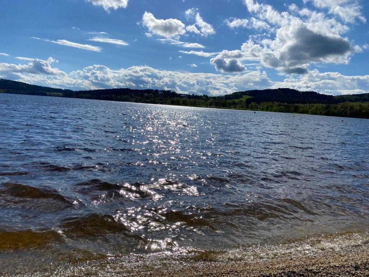 Luxury Apartman Lipno Lipno nad Vltavou Exteriér fotografie