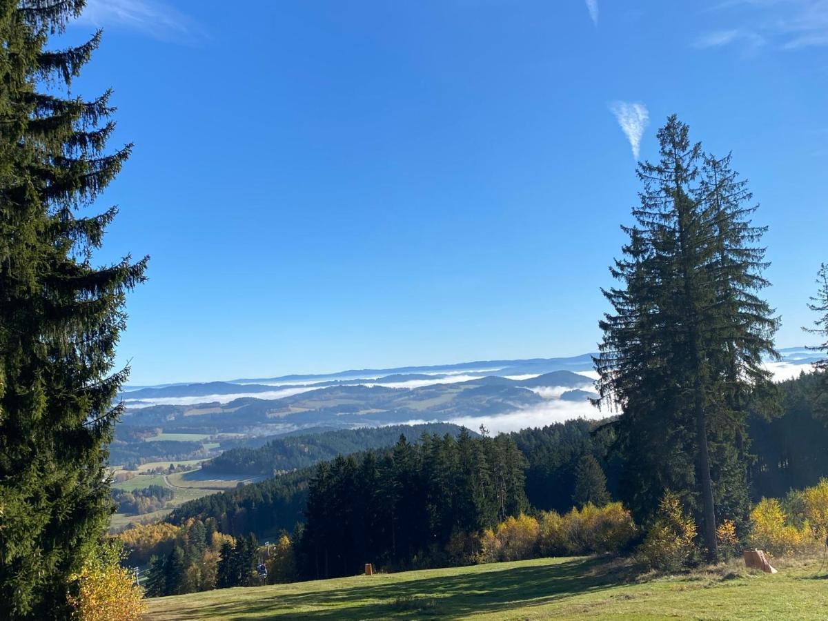 Luxury Apartman Lipno Lipno nad Vltavou Exteriér fotografie