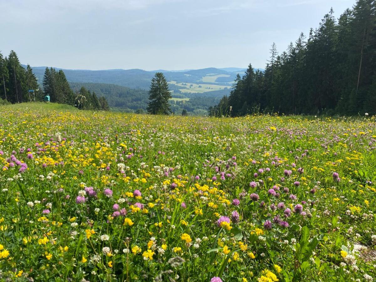 Luxury Apartman Lipno Lipno nad Vltavou Exteriér fotografie